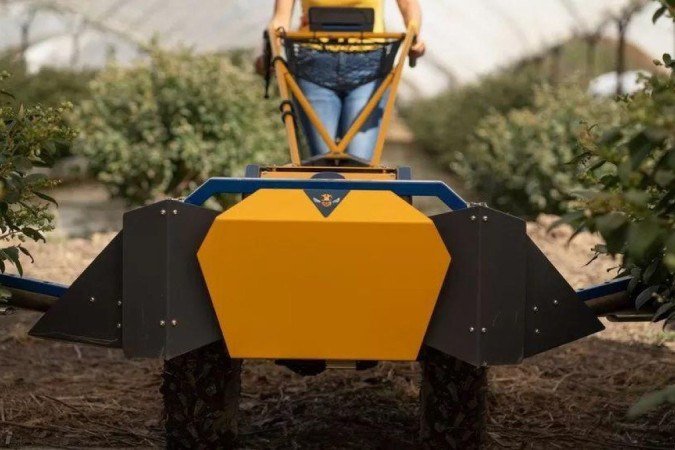 Empresa israelense fabrica máquina polinizadora de plantas que funciona desalojando o pólen - (crédito: BLOOMX) Empresa israelense fabrica máquina polinizadora de plantas que funciona desalojando o pólen - (crédito: BLOOMX)