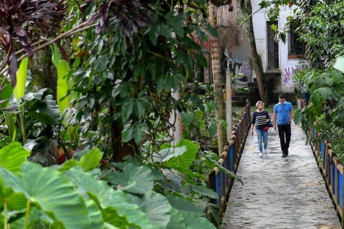 Os corredores verdes de Medellín foram premiados internacionalmente - (crédito: Getty Images) Os corredores verdes de Medellín foram premiados internacionalmente - (crédito: Getty Images)