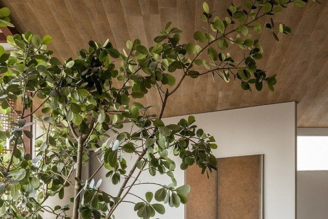 Tendências como jardins internos, paredes verdes e amplas janelas trazem a paisagem para o interior reforçam essa conexão do ambiente Casa Raízes do Studio Arch 