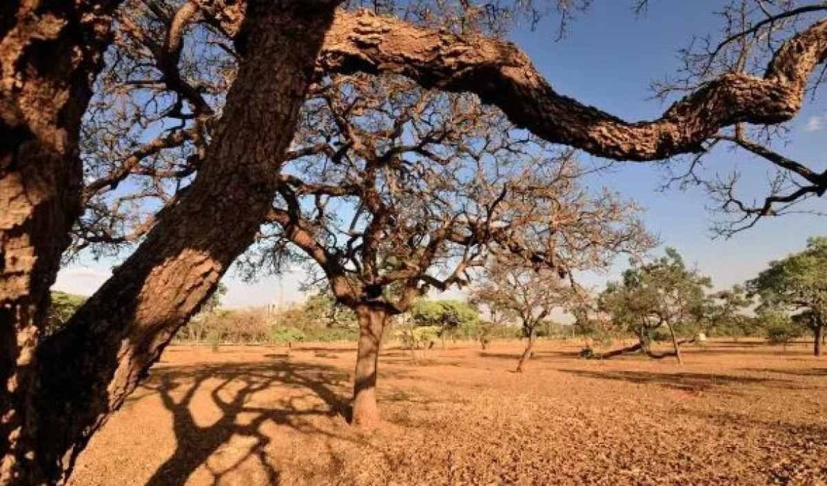 Região do Semiárido brasileiro