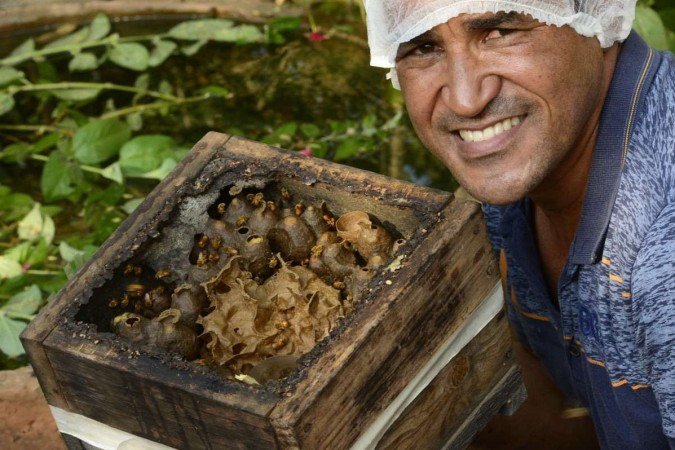  Criação de abelhas e produção de mel na Fercal. Na foto, Florisvaldo Florêncio.