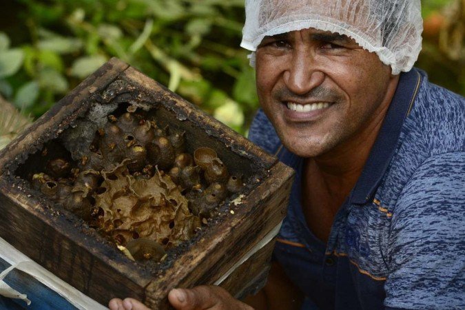  Criação de abelhas e produção de mel na Fercal. Na foto, Florisvaldo Florêncio.