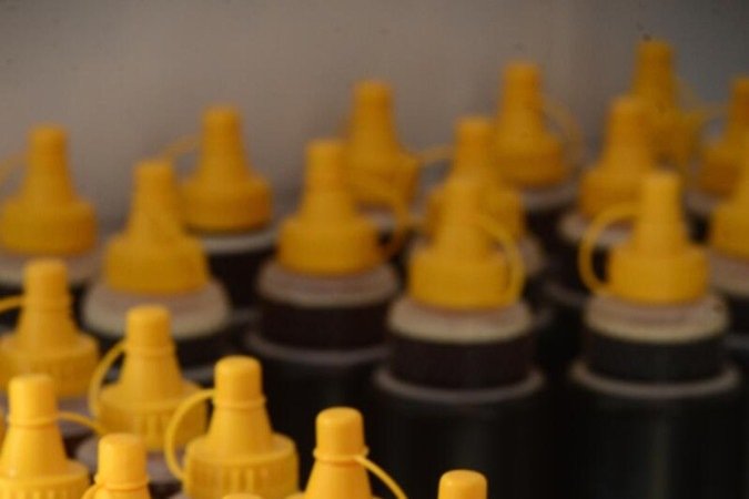  27/09/2023  Crédito: Carlos Vieira/CB/DA Press. Brasília, DF. Cidades. Criação de abelhas e produção de mel na Fercal. 