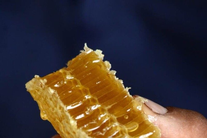  27/09/2023  Crédito: Carlos Vieira/CB/DA Press. Brasília, DF. Cidades. Criação de abelhas e produção de mel na Fercal. 