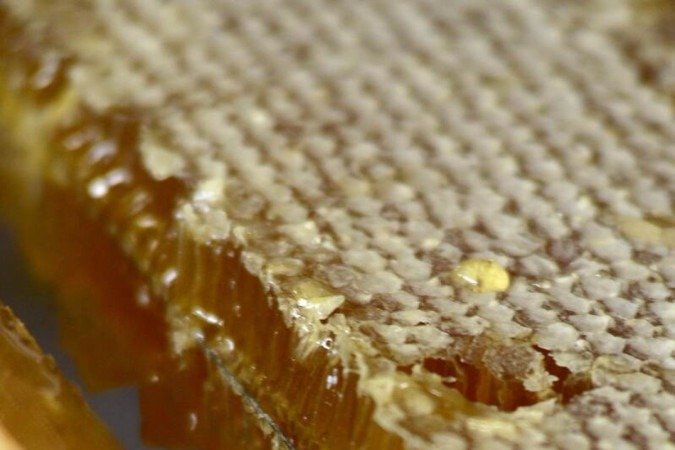  27/09/2023  Crédito: Carlos Vieira/CB/DA Press. Brasília, DF. Cidades. Criação de abelhas e produção de mel na Fercal. 