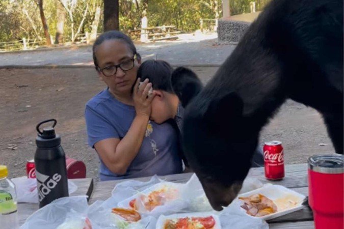 Depois de alimentado o urso desceu da mesa calmamentee seguiu procurando mais comida no chão - (crédito: Reprodução/Instagram/@angelachapa) Depois de alimentado o urso desceu da mesa calmamentee seguiu procurando mais comida no chão - (crédito: Reprodução/Instagram/@angelachapa)