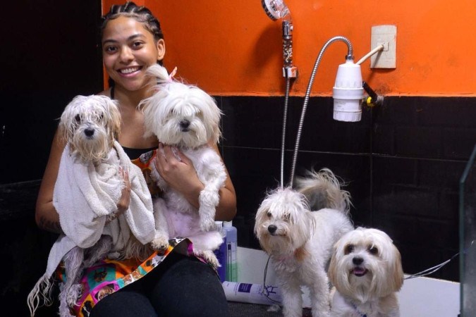 Ester começou a falar sobre cachorros nas redes para lidar com a depressão, mas acabou viralizando -  (crédito: Fotos: Ed Alves/CB/D.A Press)