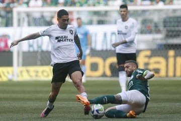 Botafogo iniciará a 25ª rodada com sete pontos à frente do Palmeiras. Maior vantagem foi de 14 -  (crédito: Vitor Silva/Botafogo)