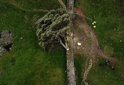Aérea mostra a árvore Sycamore Gap derrubada, norte da Inglaterra, em 28 de setembro de 2023 -  (crédito: Oli SCARFF / AFP)