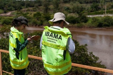 Último concurso do Ibama ocorreu em 2021, com a oferta de 568 vagas para analista ambiental, técnico ambiental e analista administrativo -  (crédito: Vinicius Mendonça/Ibama)