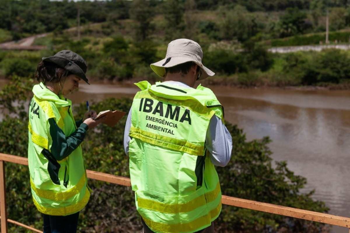 Ibama abre seleção para supervisor de brigadas com vagas para Brasília