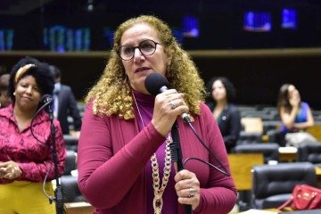 Discussão e votação de propostas. Dep. Jandira Feghali (PCdoB - RJ)

 -  (crédito: Zeca Ribeiro/Câmara dos Deputados)