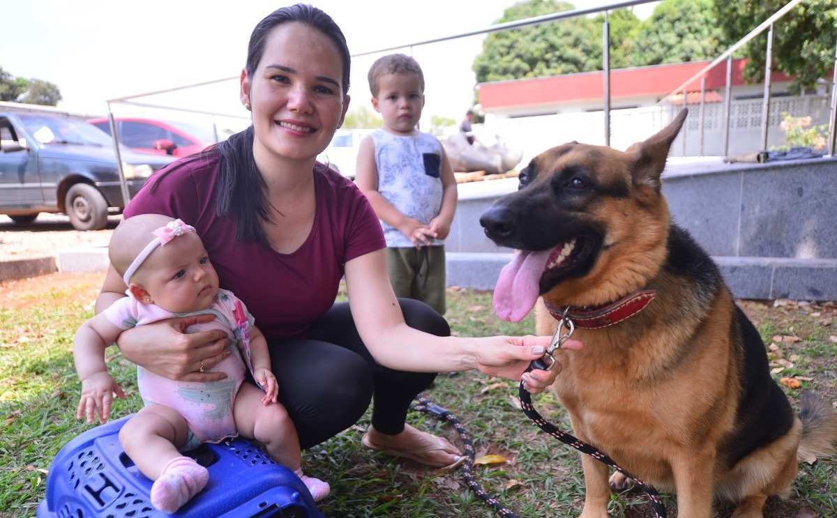 A festa para São Francisco, o padroeiro dos bichos