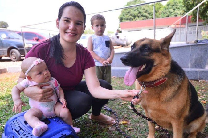Elean Lamar levou os filhos, a cachorra Dara e a gatinha Didi. Cuidado, amor e fé
- (crédito: Ed Alves/CB/DA.Press) Elean Lamar levou os filhos, a cachorra Dara e a gatinha Didi. Cuidado, amor e fé
- (crédito: Ed Alves/CB/DA.Press)