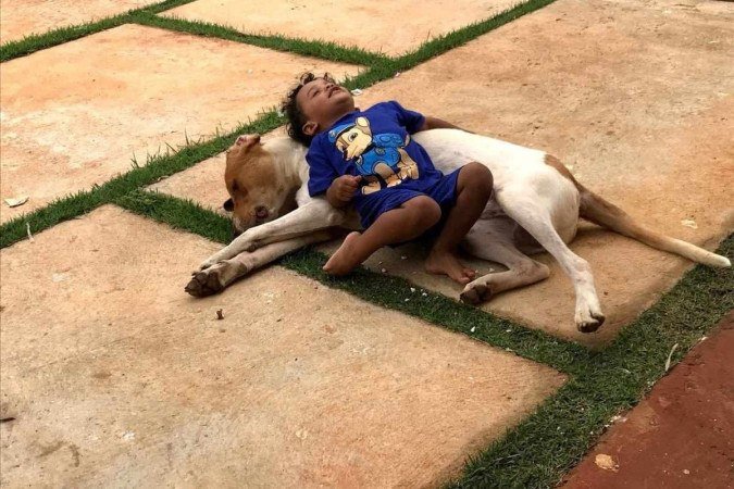 Salvador aproveitando o bom convívio com Balu - (crédito: Arquivo Pessoal) Salvador aproveitando o bom convívio com Balu - (crédito: Arquivo Pessoal)