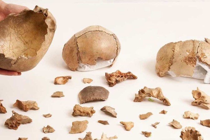 Restos humanos de todo o noroeste da Europa indicam que o canibalismo era uma prática funerária - (crédito: The Trustees of the Natural History Museum, Londres) Restos humanos de todo o noroeste da Europa indicam que o canibalismo era uma prática funerária - (crédito: The Trustees of the Natural History Museum, Londres)