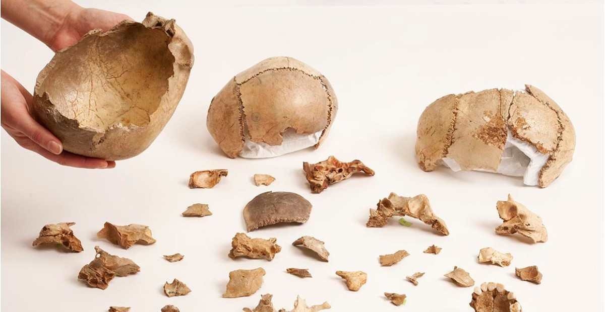 Canibalismo era prática funerária na Europa há 15.000 anos