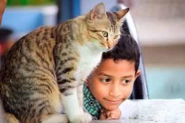 Relação com animais estimula lado emocional das crianças Relação com animais estimula lado emocional das crianças