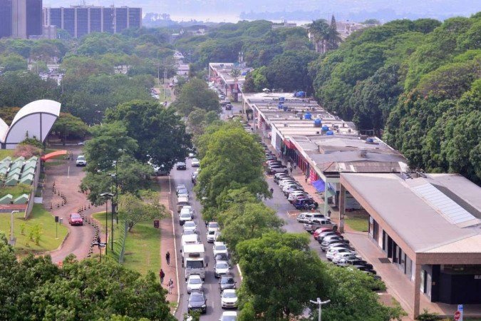A Asa Sul é um exemplo da disparidade que existe no DF, quando o assunto é arborização