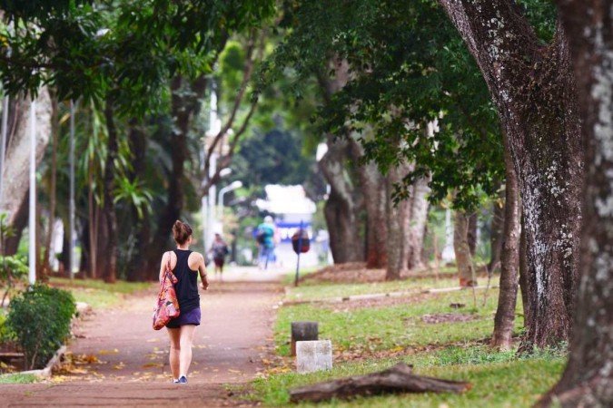 A biodiversidade urbana desempenha um papel crucial nas cidades brasileiras. - (crédito: Ed Alves/CB/DA.Press) A biodiversidade urbana desempenha um papel crucial nas cidades brasileiras. - (crédito: Ed Alves/CB/DA.Press)