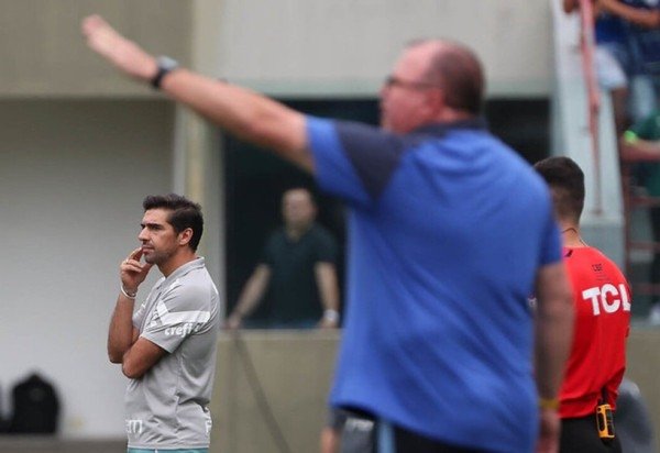 Cesar Greco/Palmeiras