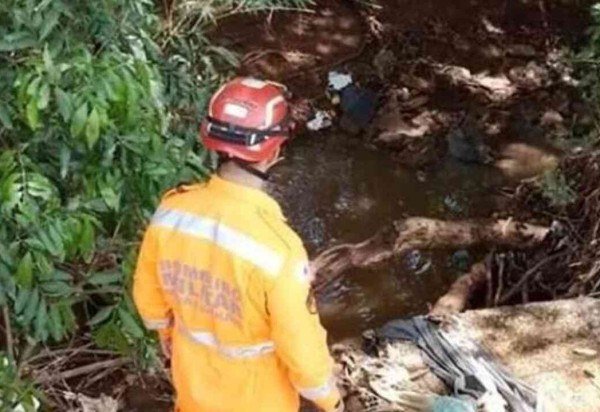 Corpo de Bombeiros de Sacramento/Divulgação