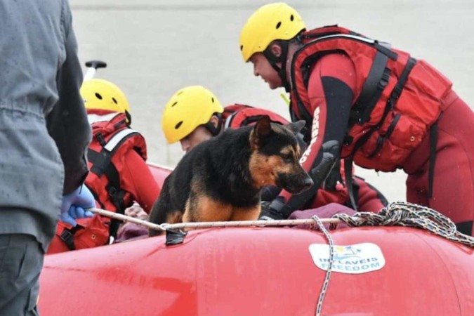 Momento em que homem de 40 anos e seu cachorro são regatados de enchente pelo Corpo de Bombeiros em Rio do Sul (SC) - (crédito: Divulgação/CBMSC) Momento em que homem de 40 anos e seu cachorro são regatados de enchente pelo Corpo de Bombeiros em Rio do Sul (SC) - (crédito: Divulgação/CBMSC)