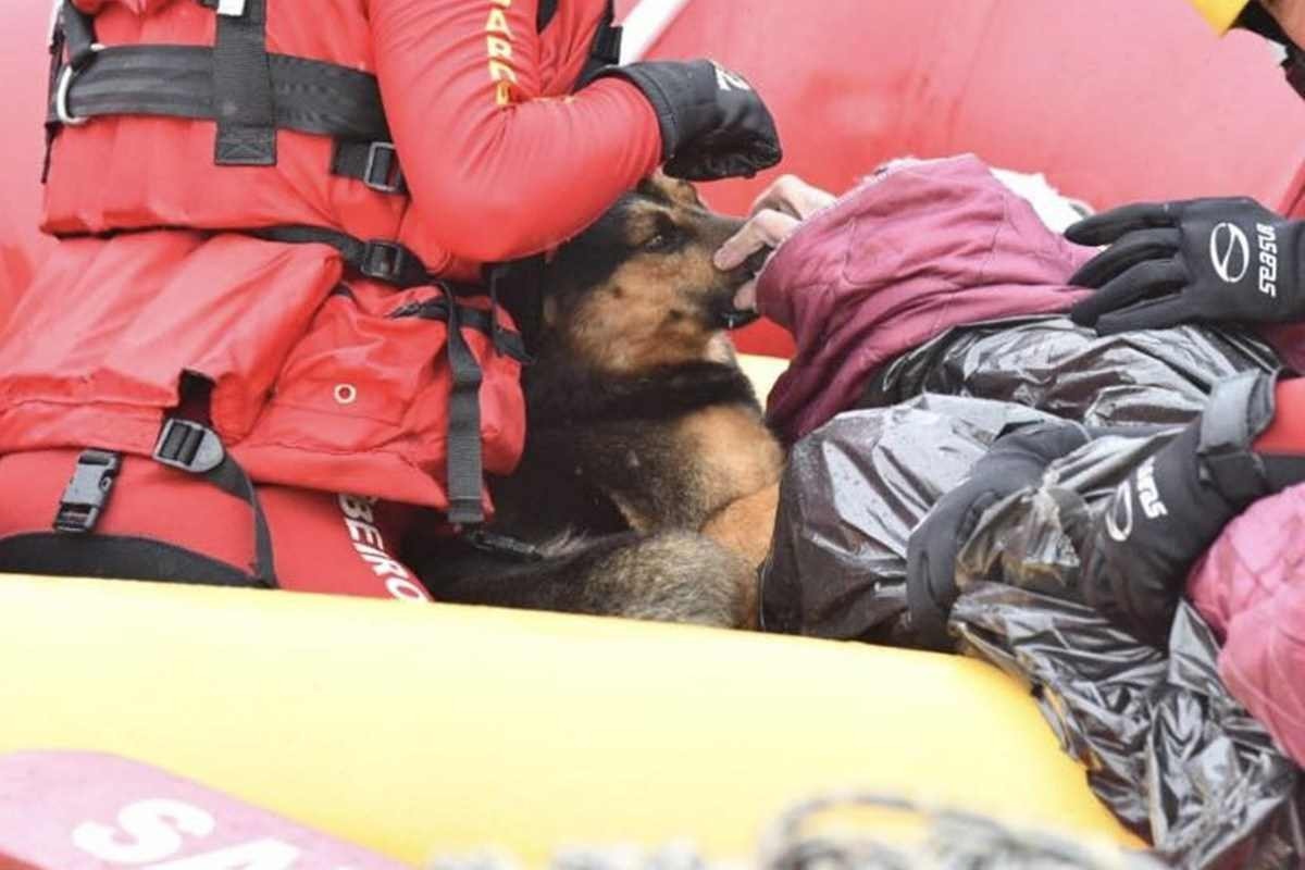 Momento em que homem de 40 anos e seu cachorro s