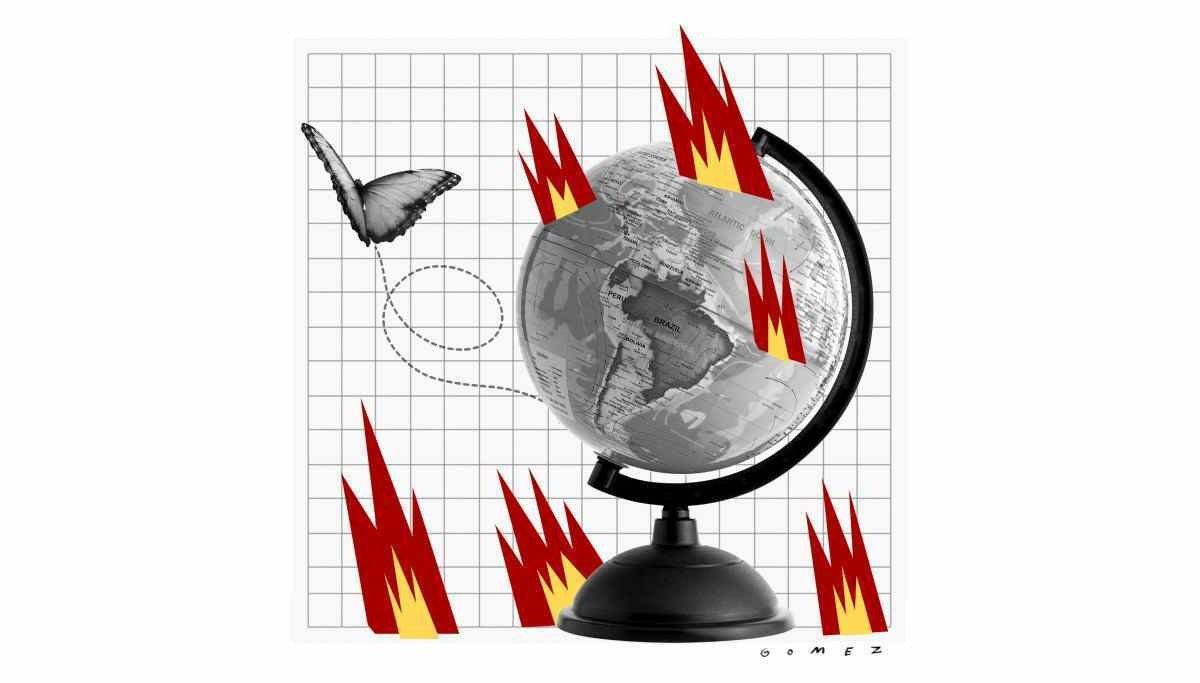 Artigo : A borboleta queria mais liberdade