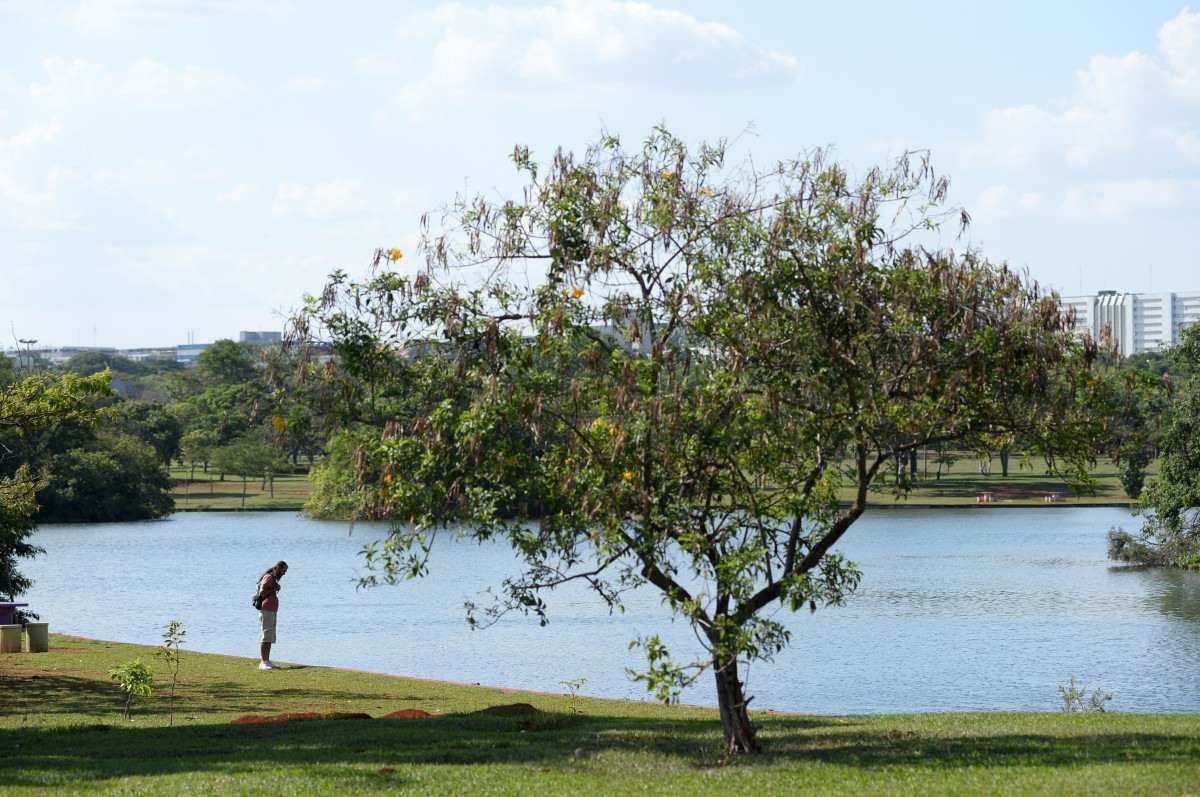  Aniversário do Parque da Cidade e véspera do Dia das Crianças.