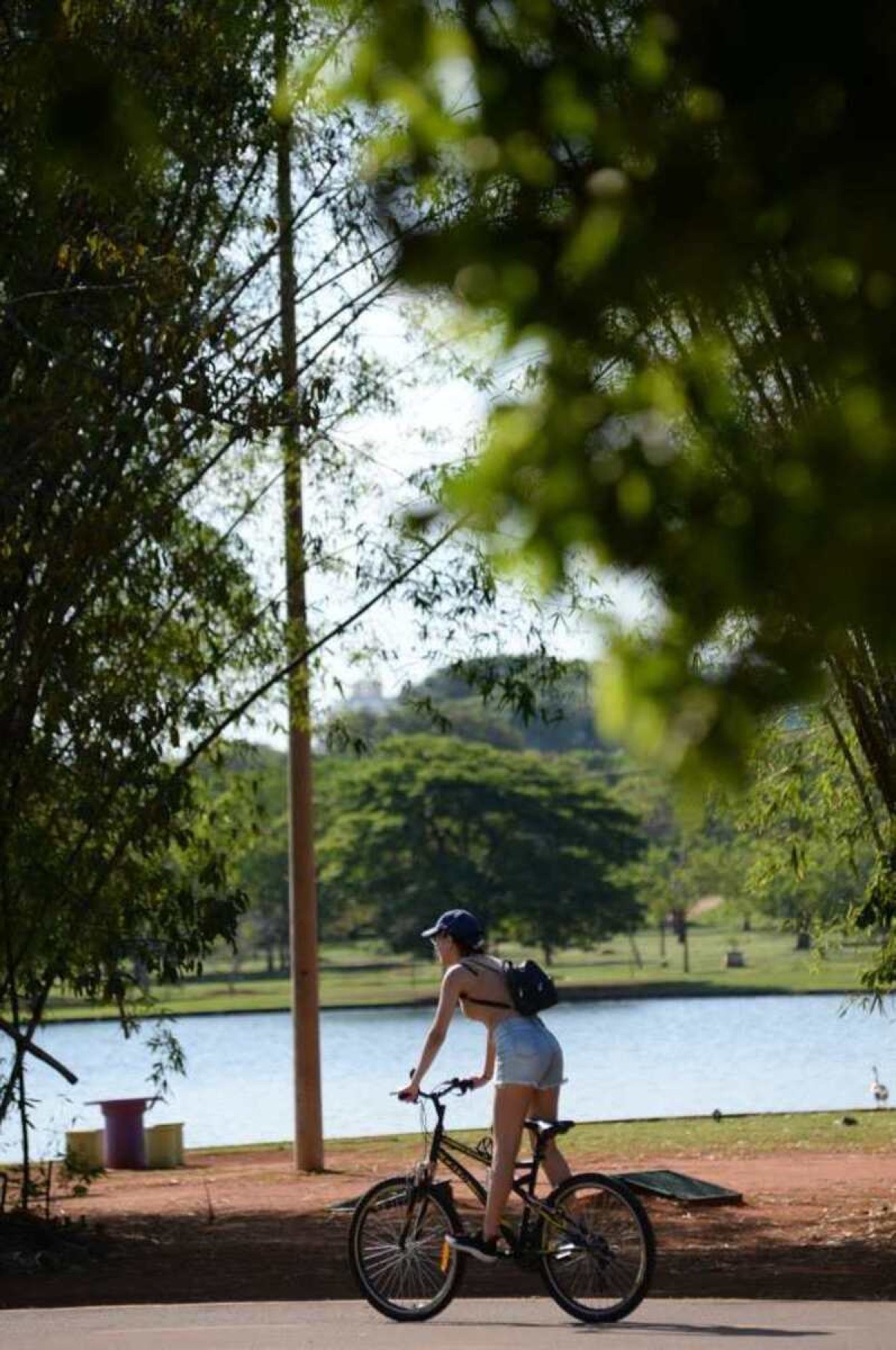  Aniversário do Parque da Cidade e véspera do Dia das Crianças.