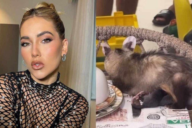 Virginia Fonseca surpreende seguidores ao mostrar gambá parindo em cima de sua mesa - (crédito: Reprodução Instagram) Virginia Fonseca surpreende seguidores ao mostrar gambá parindo em cima de sua mesa - (crédito: Reprodução Instagram)