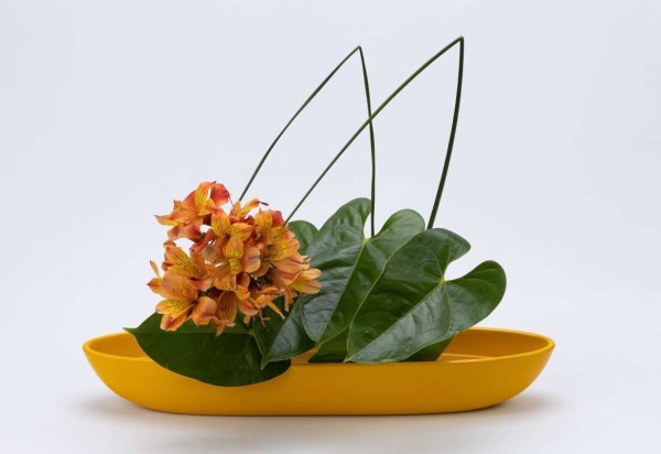 Divulgação Ikebana Sogetsu Brasília - divulgação