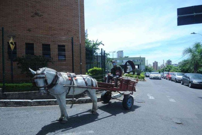 Projeto de Lei tem como objetivo alterar a lei aprovada em 2021 que determinava o fim das carroças para 2031 - (crédito: Leandro Couri/EM/D.A Press) Projeto de Lei tem como objetivo alterar a lei aprovada em 2021 que determinava o fim das carroças para 2031 - (crédito: Leandro Couri/EM/D.A Press)