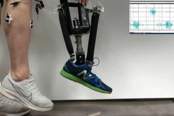 Demonstração da prótese robótica de tornozelo: peça avalia aspectos como a velocidade do caminhar para chegar a movimentos mais próximos ao natural -  (crédito: Aaron Fleming, NC State University)