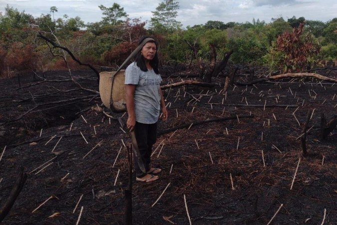 Almerinda Ramos, 50, da etnia tariana, conta que estiagem histórica fez com que fogo se alastrasse por plantações de mandioca que abastecem sua comunidade em São Gabriel da Cachoeira, na fronteira com a Colômbia - (crédito: Almerinda Ramos/Arquivo pessoal) Almerinda Ramos, 50, da etnia tariana, conta que estiagem histórica fez com que fogo se alastrasse por plantações de mandioca que abastecem sua comunidade em São Gabriel da Cachoeira, na fronteira com a Colômbia - (crédito: Almerinda Ramos/Arquivo pessoal)