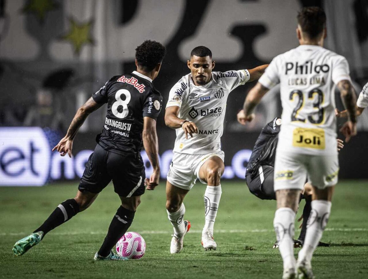 Libertadores: gato 'vidente' viraliza ao acertar resultados das semis