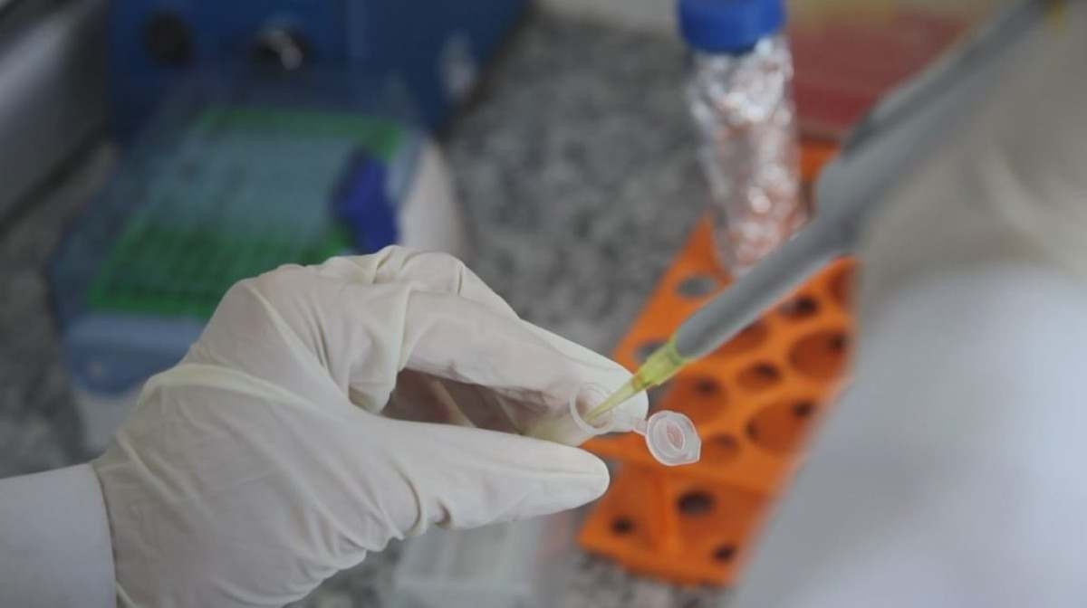 Primeira vacina contra a chikungunya é aprovada pela agência americana FDA