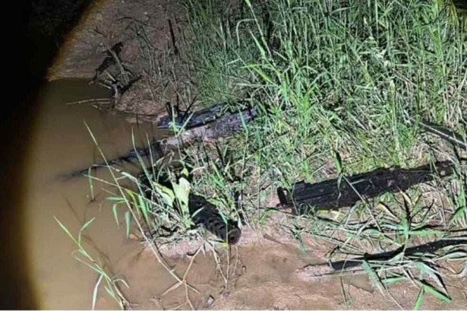 As armas foram recuperadas em uma área de mata em São Roque, interior de São Paulo, e seriam vendidas para o PCC.
- (crédito: Divulgação/Policia Civil/SP) As armas foram recuperadas em uma área de mata em São Roque, interior de São Paulo, e seriam vendidas para o PCC.
- (crédito: Divulgação/Policia Civil/SP)