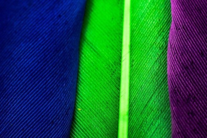 Nem todas as cores que vemos na natureza são produzidas por pigmentos - (crédito: Getty Images) Nem todas as cores que vemos na natureza são produzidas por pigmentos - (crédito: Getty Images)