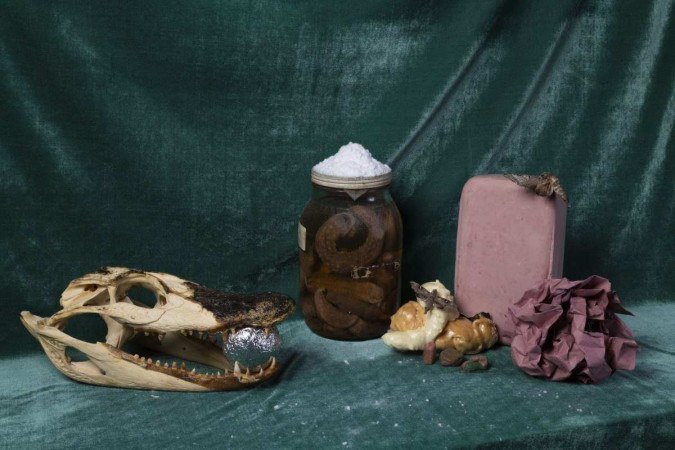 Fotos da exposição Estomacal, de Raquel Nava, na Alfinete Galeria