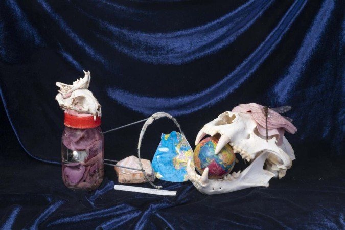 Fotos da exposição Estomacal, de Raquel Nava, na Alfinete Galeria