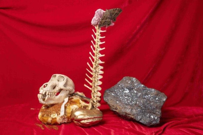 Fotos da exposição Estomacal, de Raquel Nava, na Alfinete Galeria