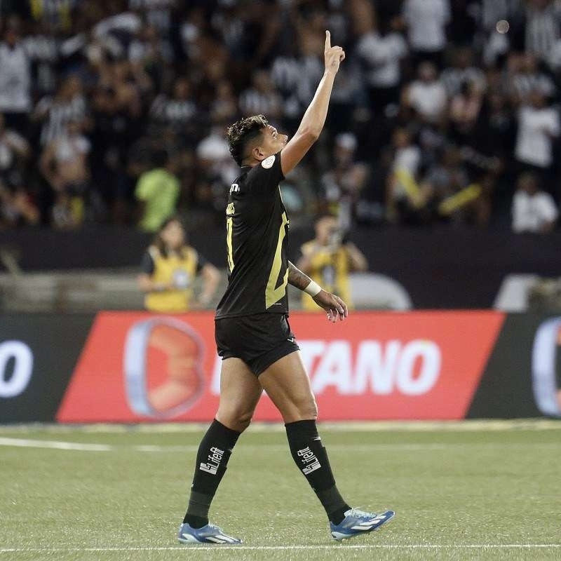 Brasileirão: por que jogo adiado do Botafogo contra o Athletico-PR será sem  torcida?