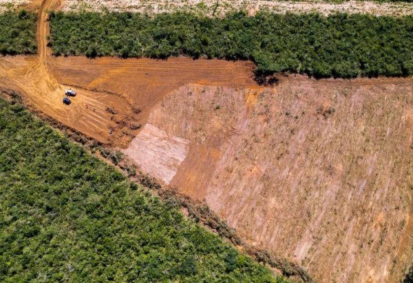 Instituto de Pesquisa Ambiental da Amazônia - IPAM/Divulgação