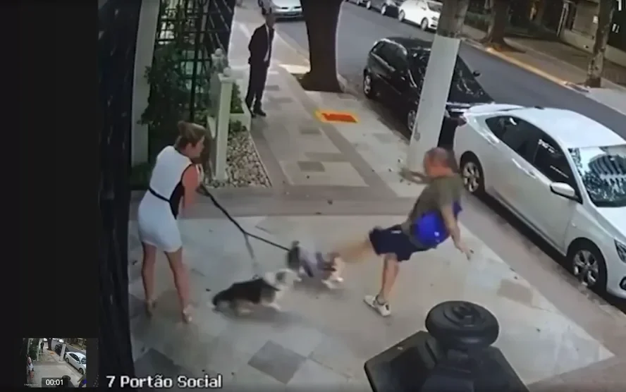 O inquérito policial foi concluído após a análise das câmeras de segurança do prédio da advogada e pelos depoimentos dela e do agressor. Laudos veterinário e do IML também foram usados como prova. - (crédito: Reprodução/G1) O inquérito policial foi concluído após a análise das câmeras de segurança do prédio da advogada e pelos depoimentos dela e do agressor. Laudos veterinário e do IML também foram usados como prova. - (crédito: Reprodução/G1)