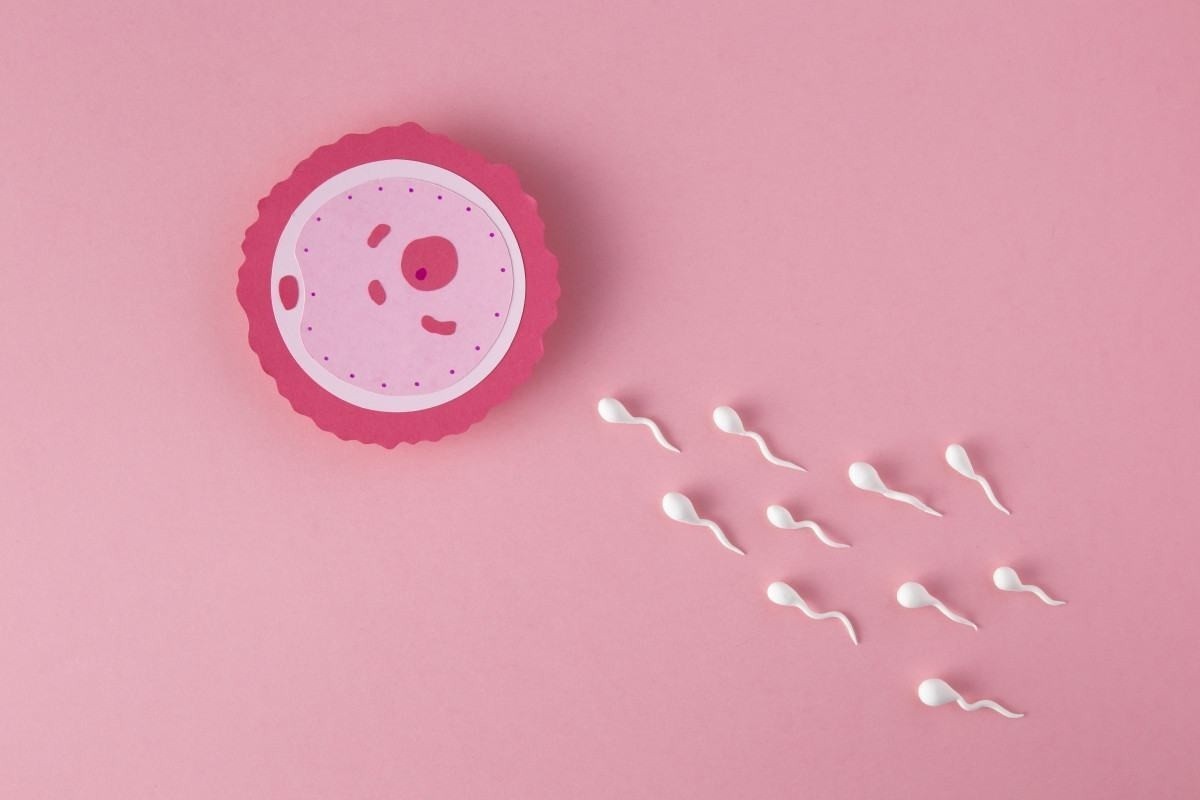 Conceito de menstruação em fundo rosa