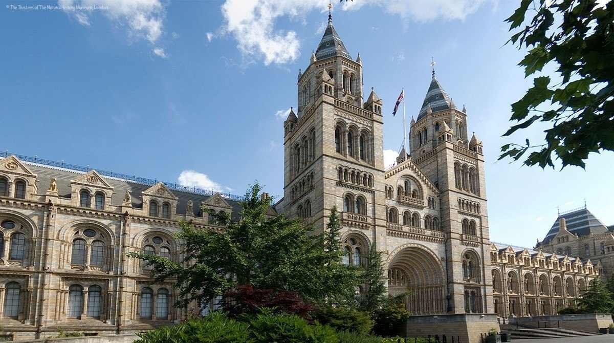 Conheça o museu de Londres que permite passar a noite