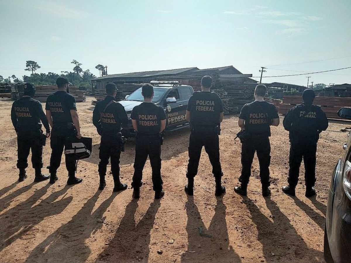 PF inicia operação contra desmatamento ilegal em Rondônia e no Acre