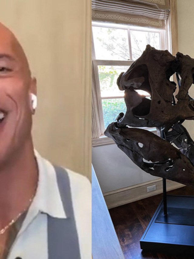 Apaixonado por pré-história, Dwayne Johnson tem crânio de tiranossauro em  casa